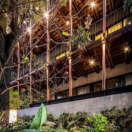 Ana Polanco Apartments Mexico By Eksteriør billede