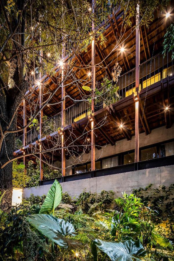 Ana Polanco Apartments Mexico By Eksteriør billede