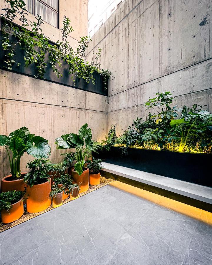Ana Polanco Apartments Mexico By Eksteriør billede
